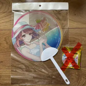 컬러풀 피치 부채 노아