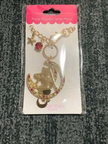 세일러문 스토어 실루엣 백참