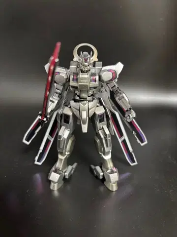 HG 슈바르제테 전체 페인팅