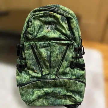 go slow caravan 백팩