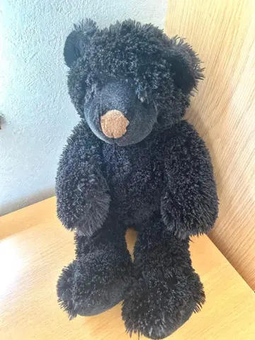 블랙 곰 봉제 인형