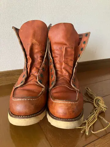 레드윙 10D 한랭지 사양