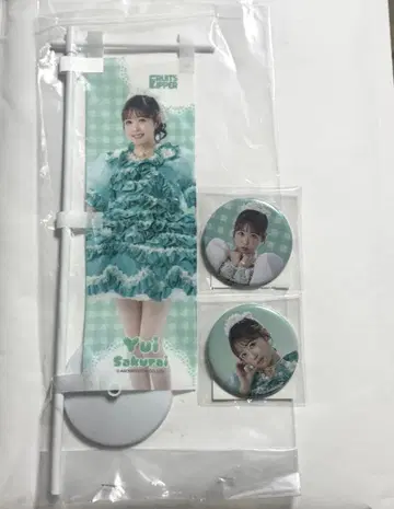 FRUITS ZIPPER 3주년 스키복권 사쿠라이 유이 노보리 캔뱃지