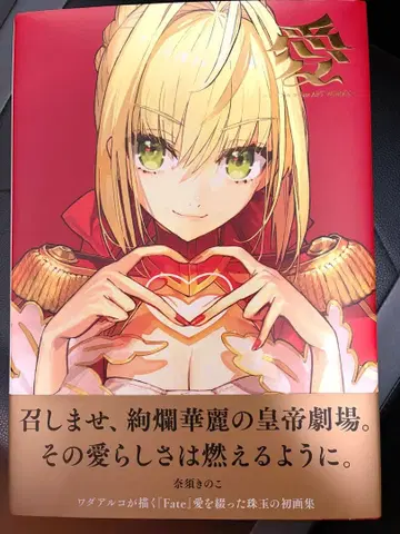 와다아루코 화집 Fate art works 아이