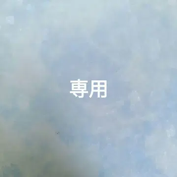 팔레트 F 2025 고베 산노미야 오리지널 모델 리카짱 캐슬