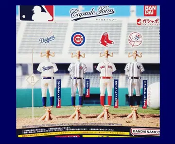 MBl 캡슐 토르소 마네킹