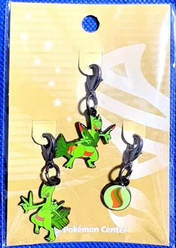 포켓몬 메가나무킹 나무킹 메탈 참 포켓몬 센터