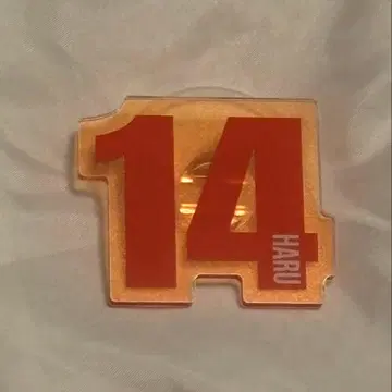 하루 응원봉 액세서리