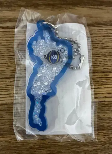 레이크스 비와호 비와호 키링