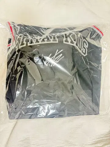 straykids 스키즈 dominate 에코파 업그레이드 굿즈