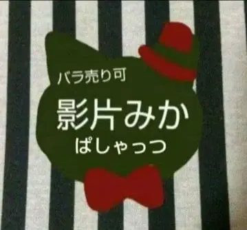 앙스타 미카 파샤츠 6주년 9주년 TRIP 커버 송 소문래복