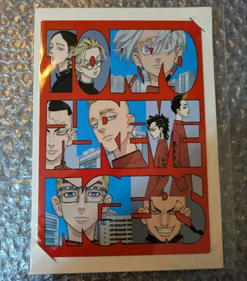 도리베 마지막 세계선 한정판 메탈 플레이트 미사용 새상품