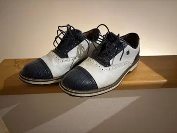 풋조이 드라이조이 프리미엄