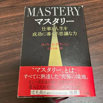 마스터리 업무와 인생을 성공으로 이끄는 신비한 힘