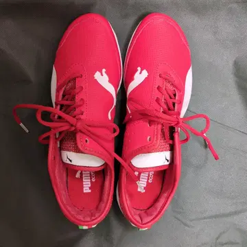 푸마 레드 스니커즈 페라리 로고