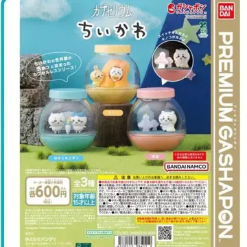 캡슐리움 치이카와 (먼작귀) 전 종류