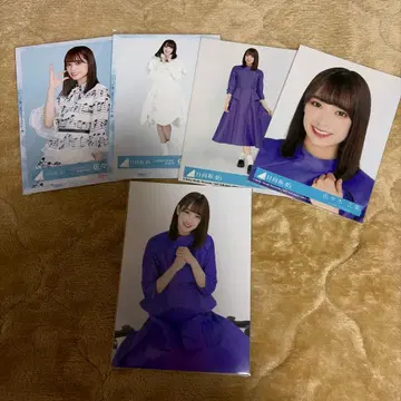 사사키 쿠미 브로마이드 히나타자카46 [ 비장 브로마이드 ]