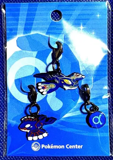 포켓몬 원시 가이오가 메탈 참 포켓몬 센터