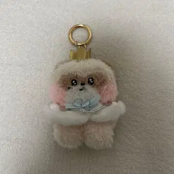 프린스 zeroni 봉제 인형 키링 zb1 장하오 하니니