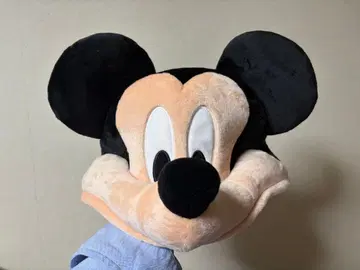 미키마우스 봉제 인형 모자
