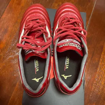 모렐리아 2 japan