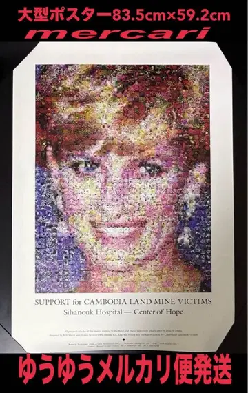 다이애나비 Diana Princess of Wales 영국 왕실