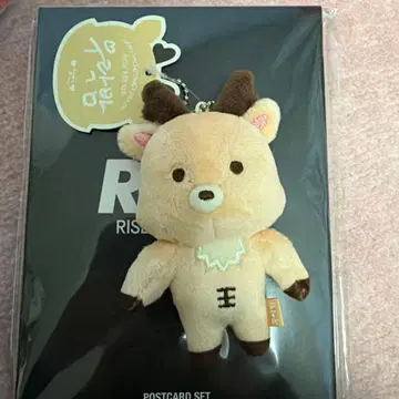 성찬 봉제 인형 키링 RIIZE