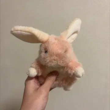 토끼 봉제 인형