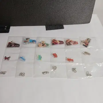 스트리트 파이터 6 캡슐 아크릴 참