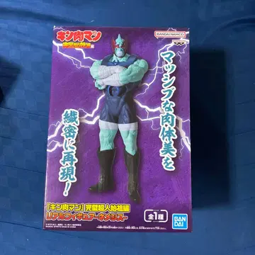 근육맨 완벽 초인 시조편 리얼 피규어 -네메시스-