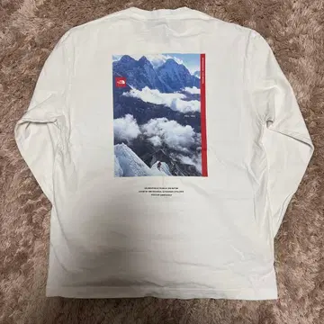 THE NORTH FACE 1992 긴팔 티셔츠