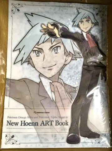 포켓몬 호연 아트북 하루카 포스터