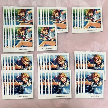 앙스타 토모야 4A, 4P 파샤츠 묶음 판매