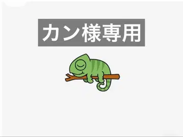 핸드메이드 카멜레온 아보카도