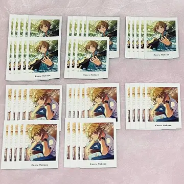 앙스타 카오루 4A, 4P 파샤츠 묶음 판매