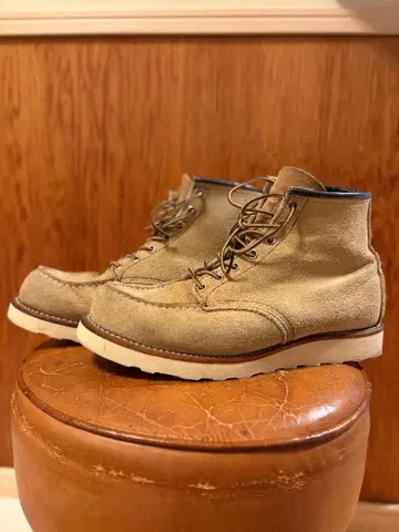 redwing 아이리쉬 세터 8173