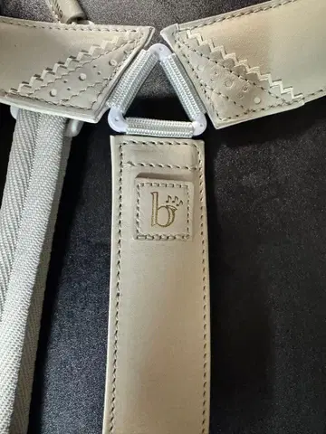 Breathtaking 조정 가능 스트랩 베이지 색소폰용