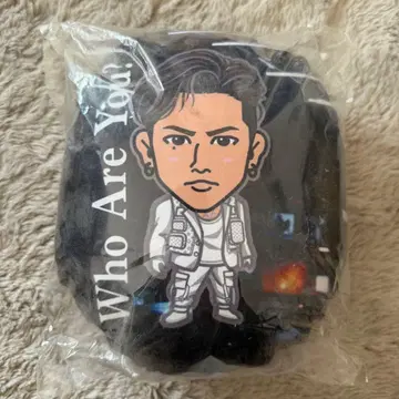 3대 토사카 히로오미 미니 쿠션 온라인 부스