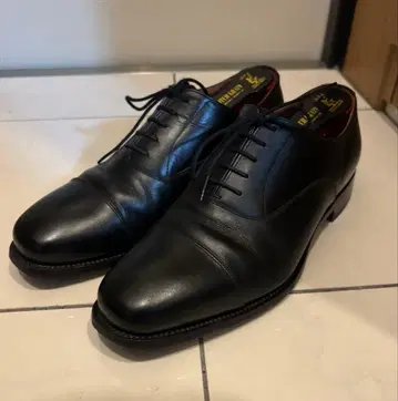 [스코치 그레인] SCOTCH GRAIN 스트레이트 팁 3E