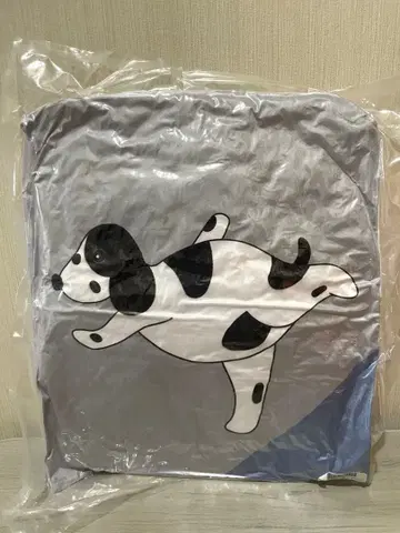 츠츠이 아야메 개별 쿠션 노기자카46