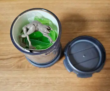 STRANGER THINGS 스트렌저 싱스 플라자 콜라보 데모도그