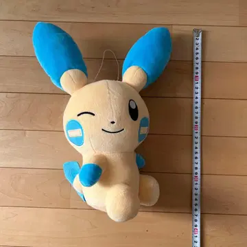포켓몬 마이농 대형 봉제 인형