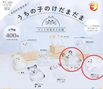 우리 아이 털뭉치 강아지 치와와 블랙 화이트 2개 세트 한정판 모듬