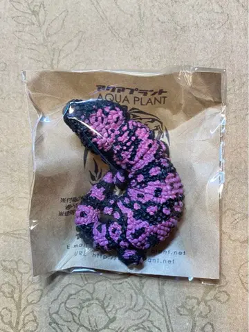 [ 미개봉 ] 미국 도마뱀 뿌리 장식