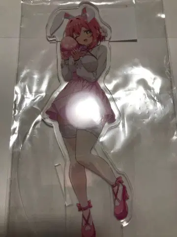 100카노 너를 극극극극극 좋아하는 100명의 그녀 하네카 아크릴 스탠드