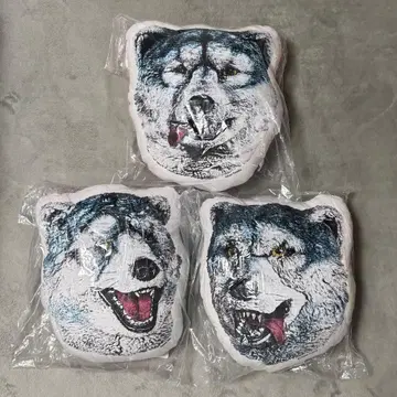 맨즈 제일복권 C상 F상 G상 페이스 쿠션