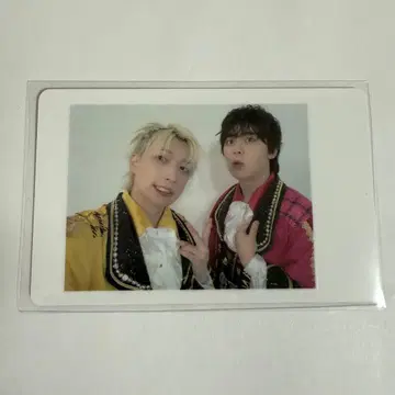 팬더드래곤 요타 나기 하피카