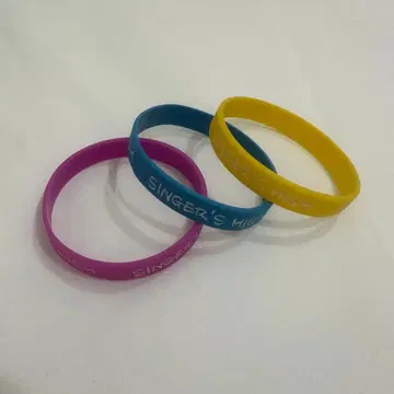 싱어스 하이 러버밴드