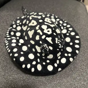 봉제 인형 가오리 (해유관)