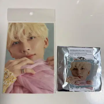 SEVENTEEN 아이노치카라 POPUP 포스카 아크링 키링 정한 3